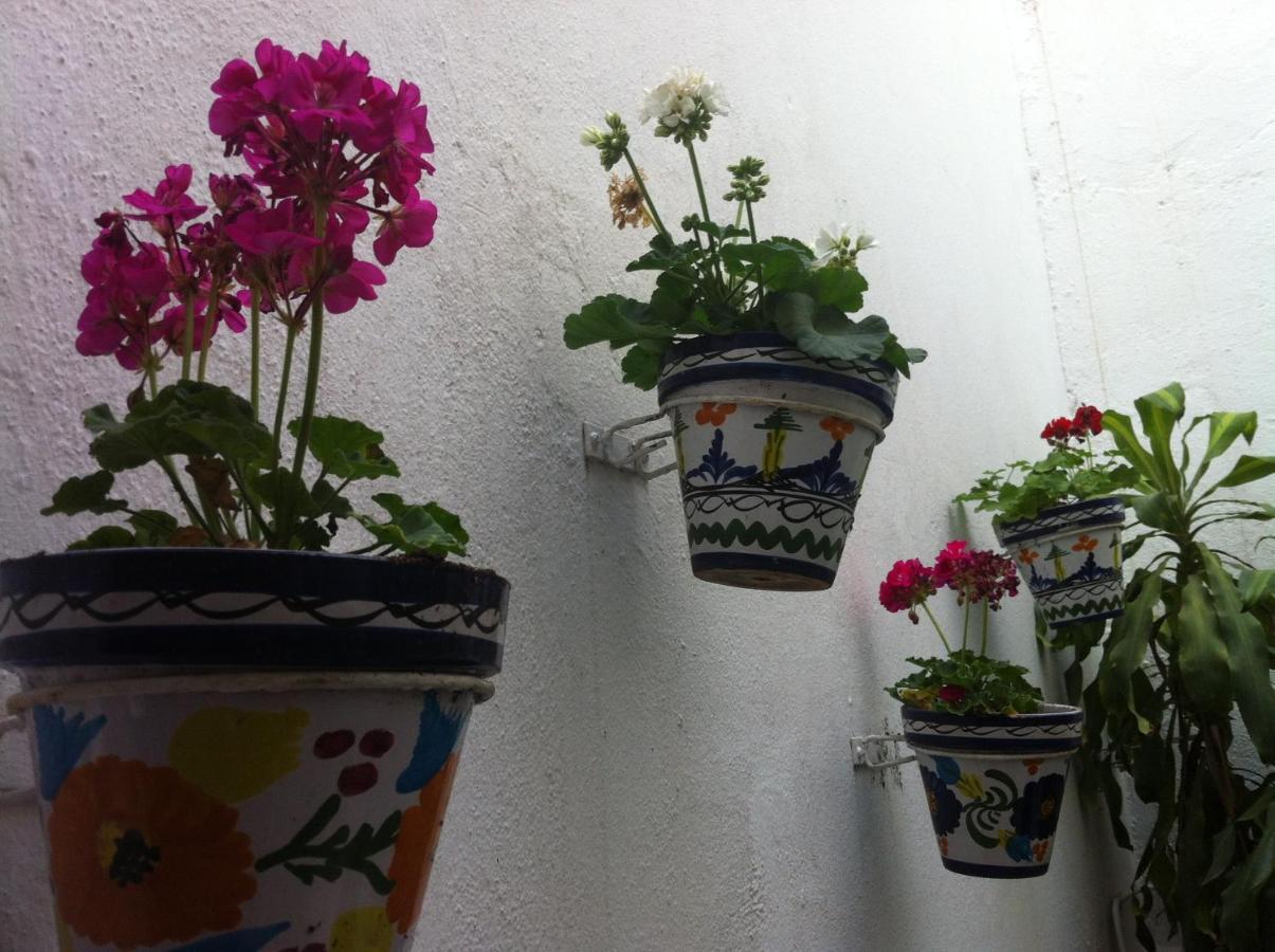 Berlin Guest house Marbella